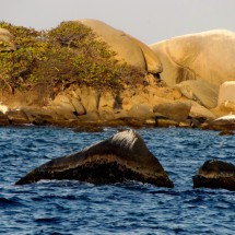 In the national park Parque Nacional Natural Tayrona close to Arrecifes